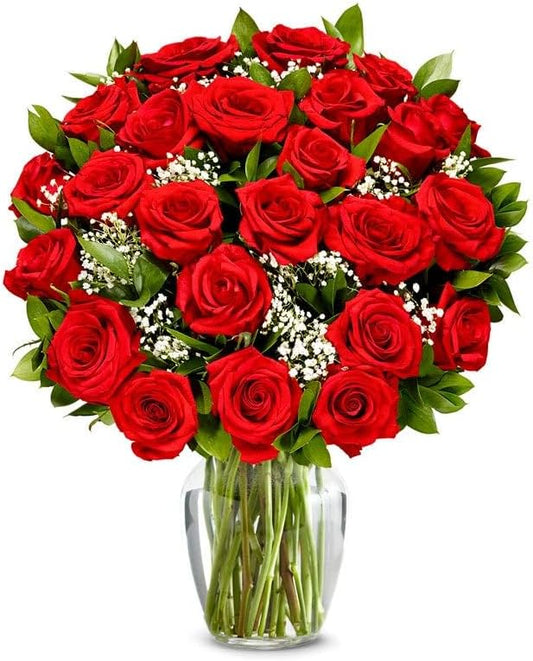 Two Dozen Long Stemmed Red Roses with Glass Vase | Fresh Flower Bouquets for Birthday, Anniversary, Get Well or Celebration