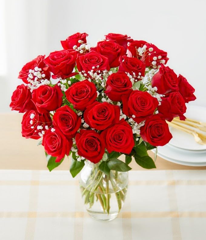 Two Dozen Long Stemmed Red Roses with Glass Vase | Fresh Flower Bouquets for Birthday, Anniversary, Get Well or Celebration