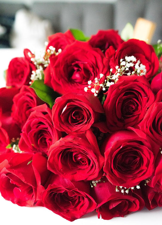 Two Dozen Long Stemmed Red Roses with Glass Vase | Fresh Flower Bouquets for Birthday, Anniversary, Get Well or Celebration